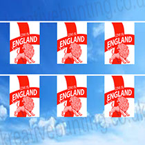 Uniquely Designed by our design department - St. George Lion Bunting - support England in style